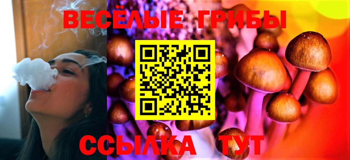 Галлюциногенные грибы Magic Shrooms  Вход с VPN  Кемерово 